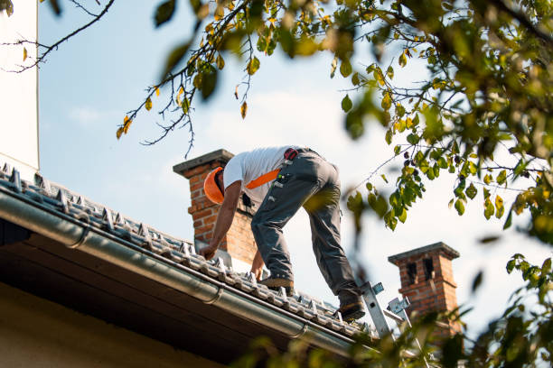Best Flat Roof Repair Services  in Sandstone, MN