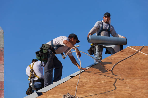 Best Commercial Roofing Services  in Sandstone, MN